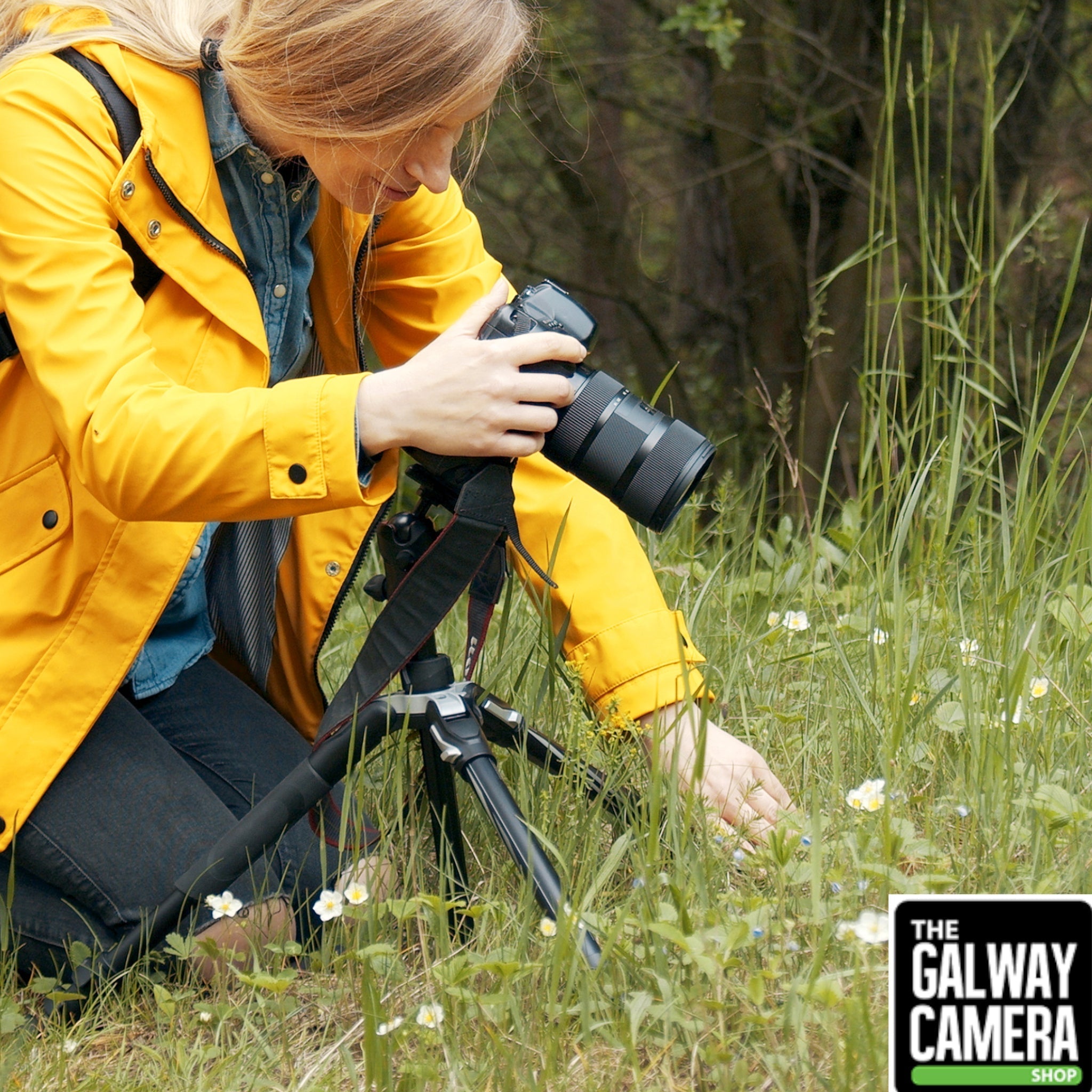 Why Buy a Tripod — and What to Look for When Choosing One