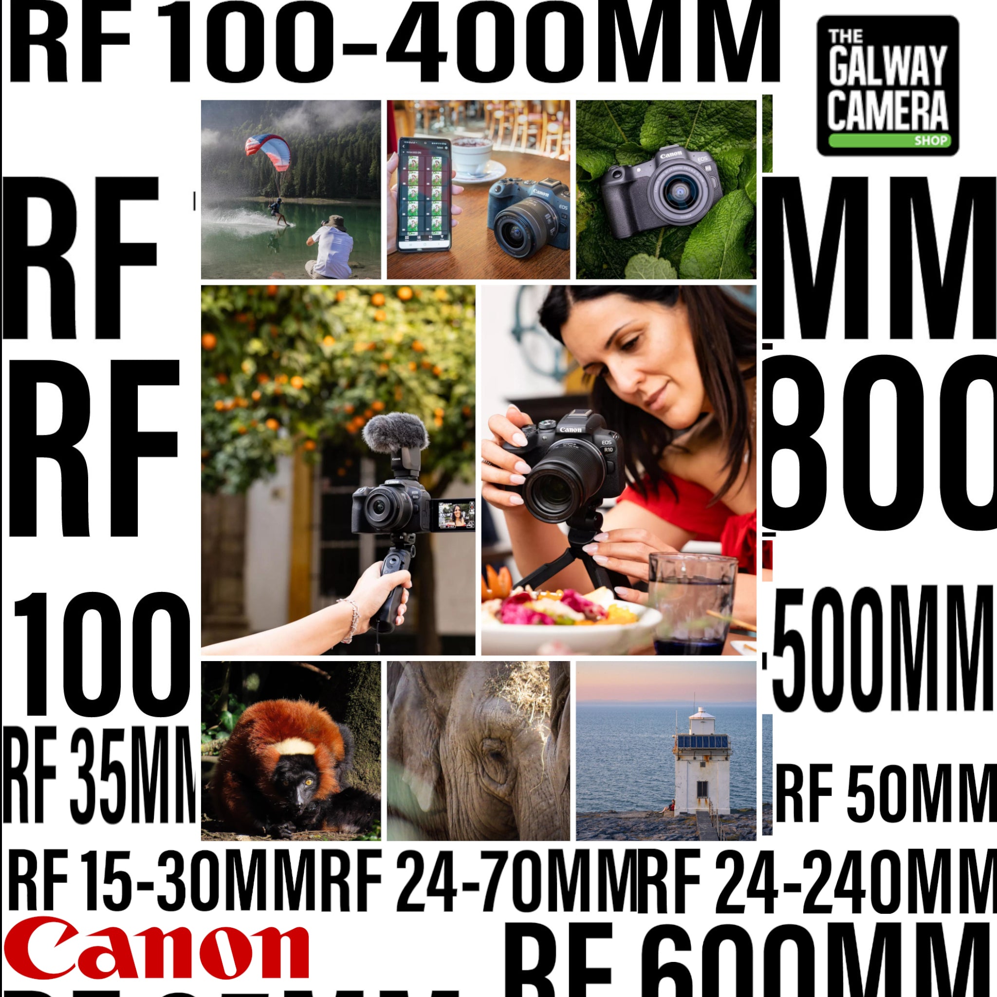 The Best Canon RF System Lenses for Every Type of Photography