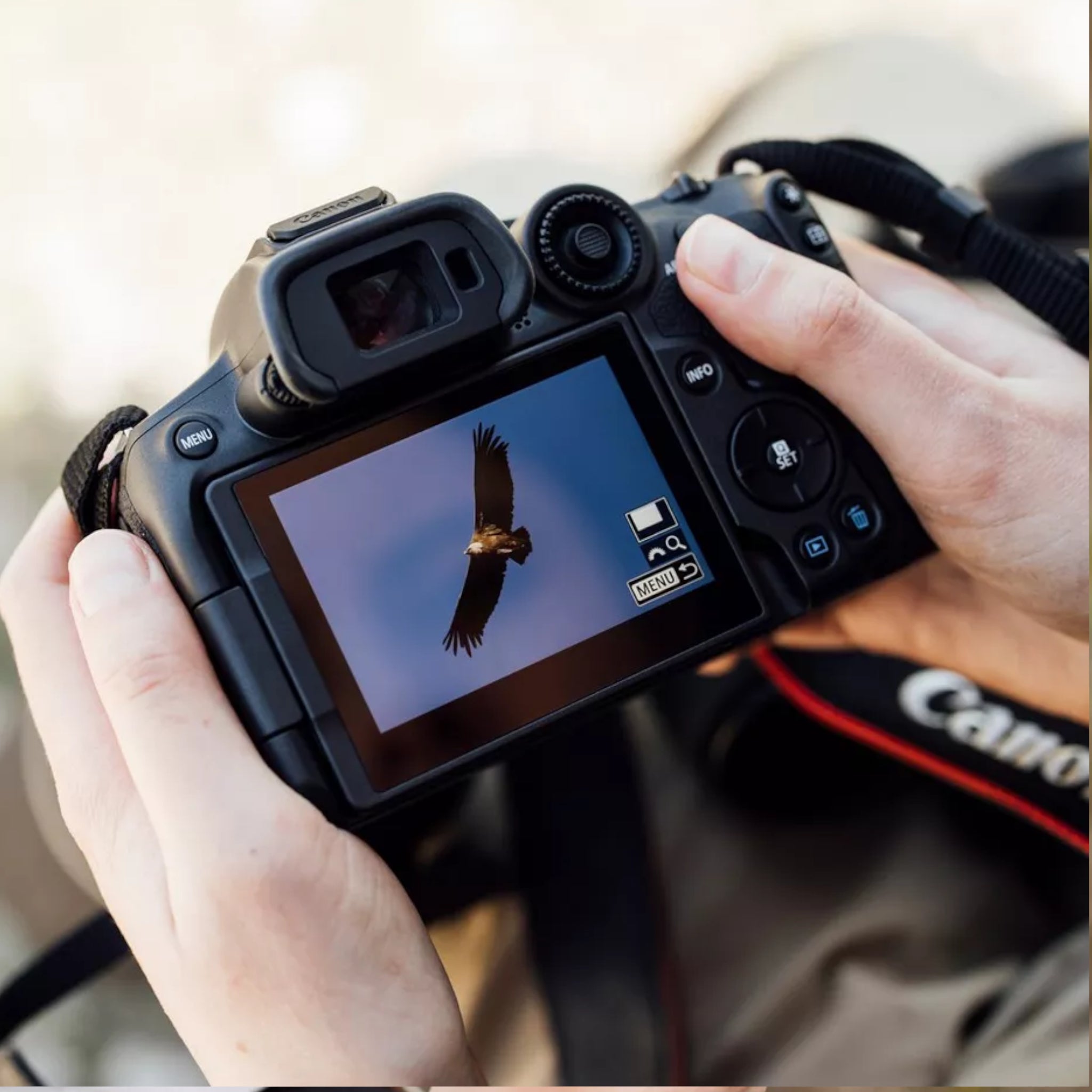 Canon OFFER: Eos R7 Mirrorless Camera & 18-150mm IS STM lens