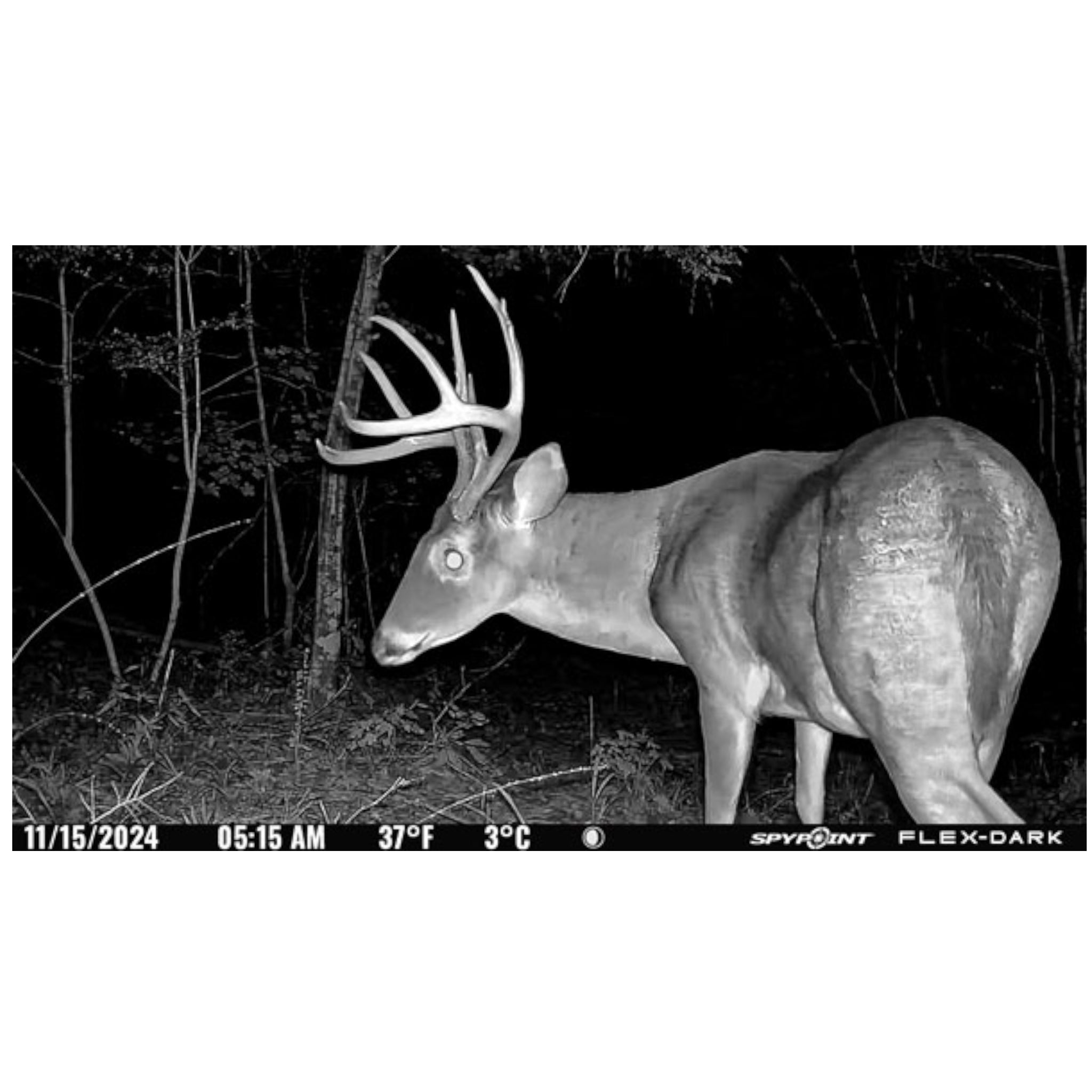 SPYPOINT FLEX-DARK Cellular Trail Camera