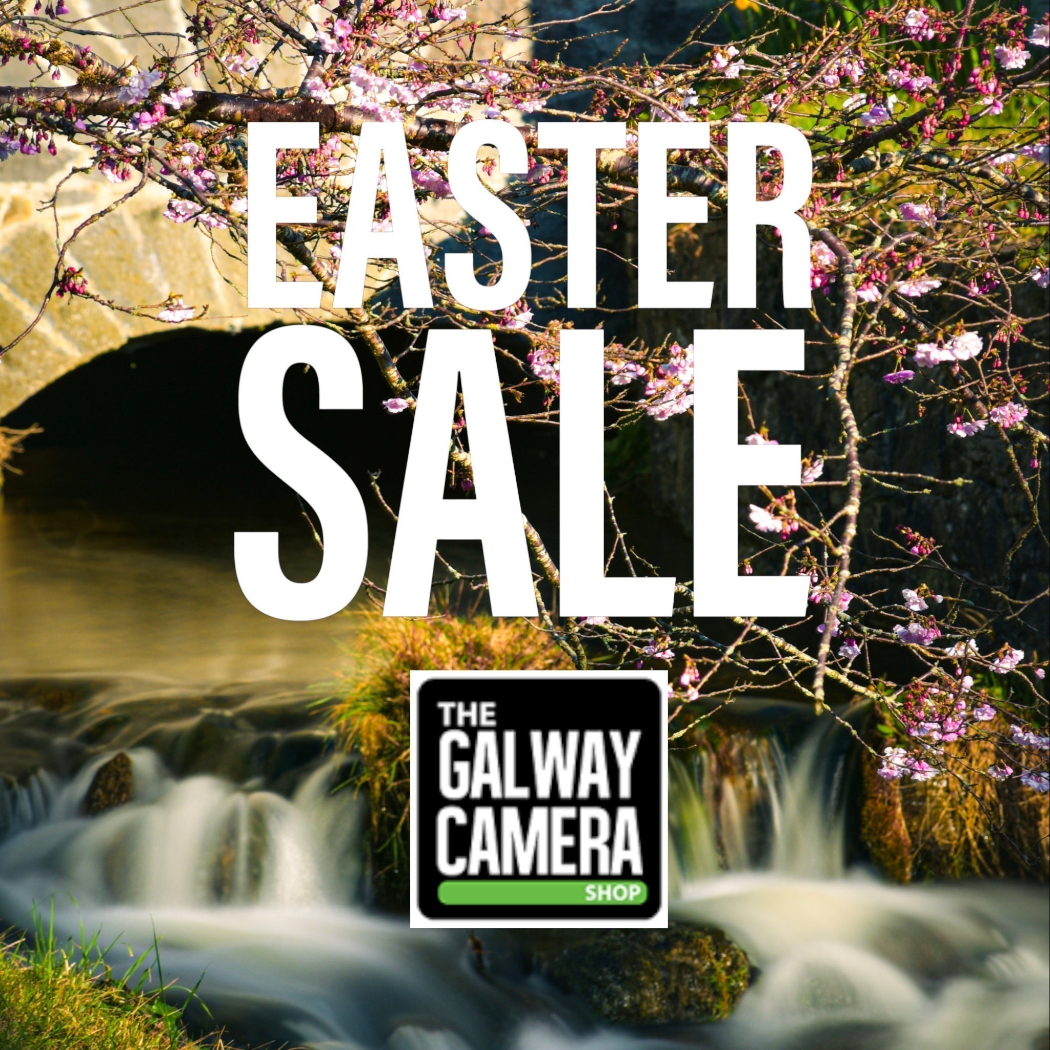 Canon Easter Sale at Galway Camera Shop – Save Up to €400 on Selected Products
