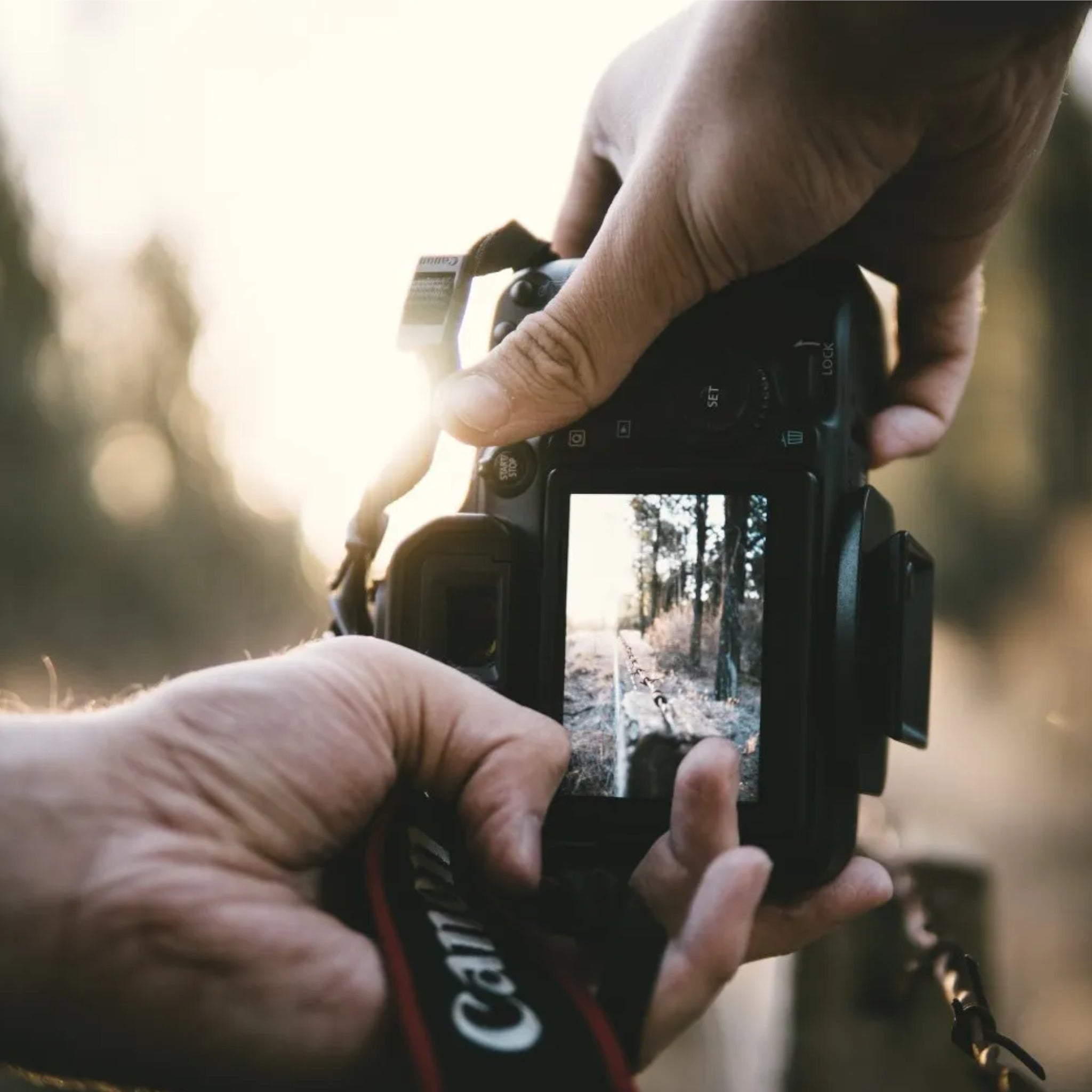 Irish Christmas Gift Ideas: Beginner:  DSLRs vs Mirrorless Cameras