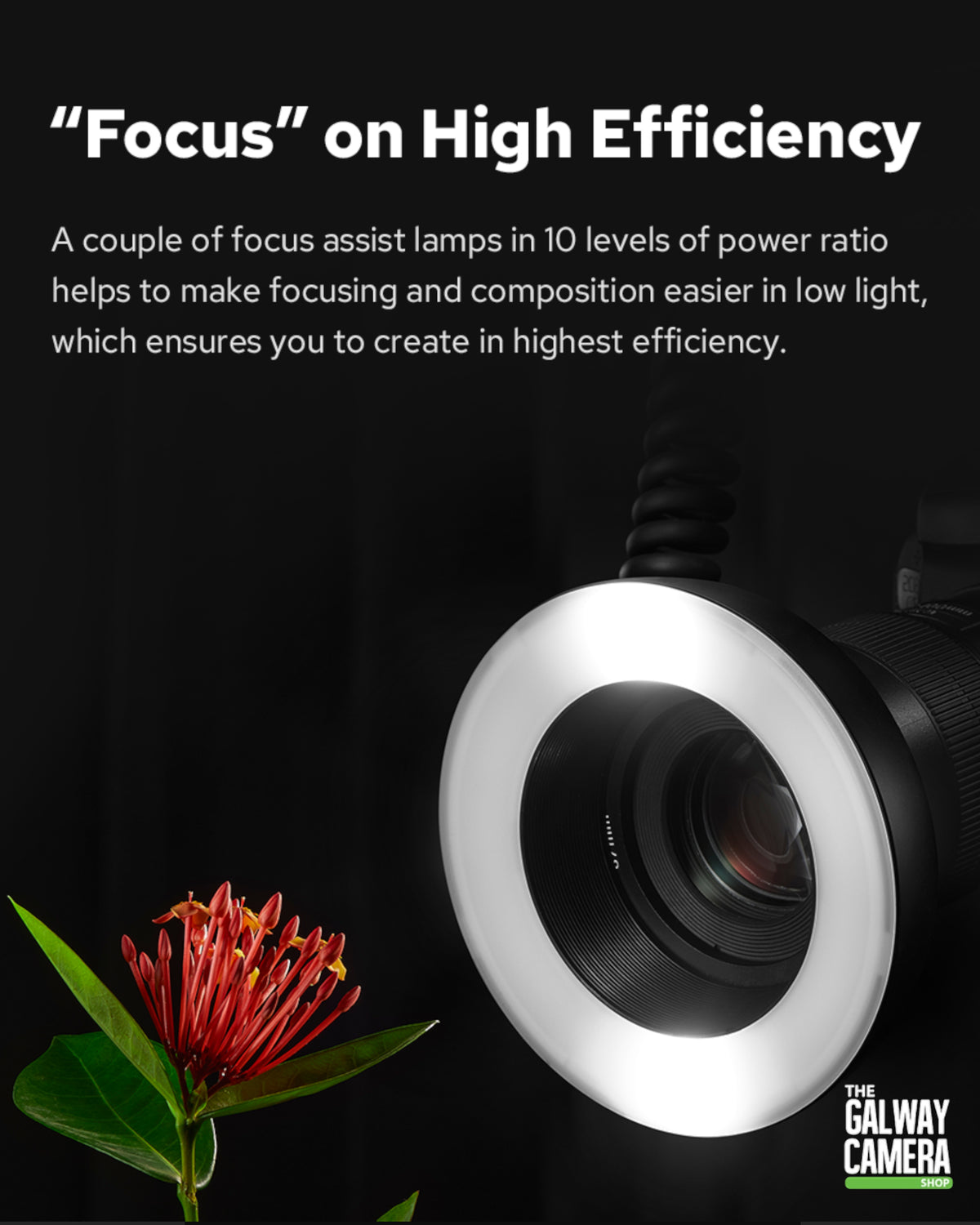GoDox MF-R76C TTL Macro Ring Flash (Canon Compatible)