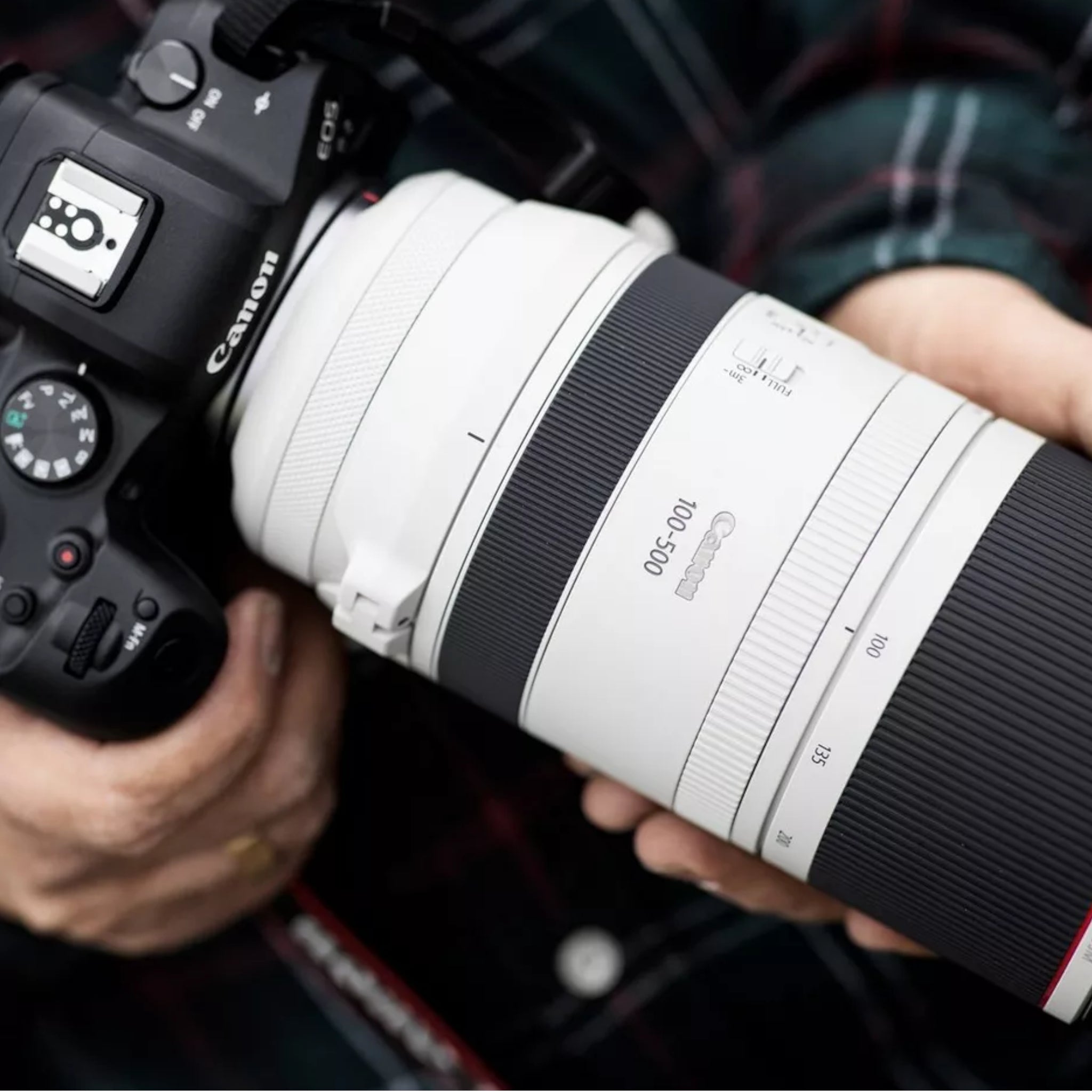 Canon RF 100-500mm f 4.5-7.1L IS USM lens