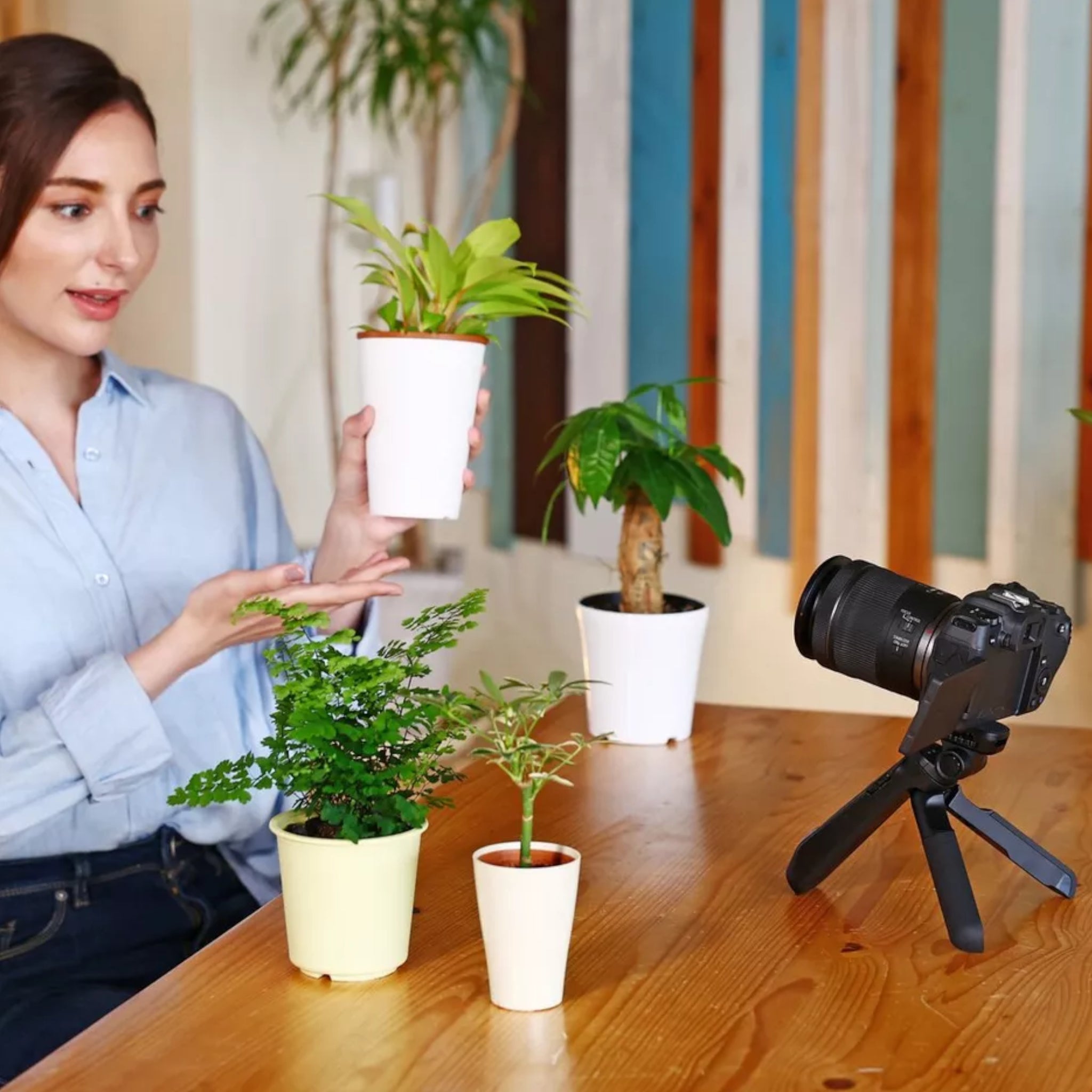 Canon RF 15-30mm f 4.5-6.3 IS STM lens