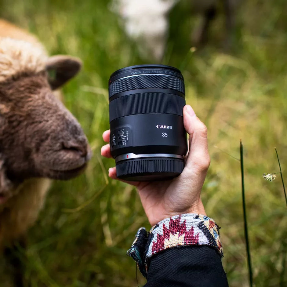 Canon RF 85mm f/2 Macro IS STM lens