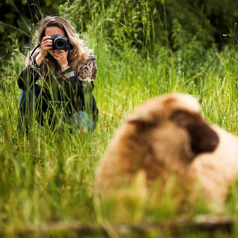 Canon RF 85mm f/2 Macro IS STM lens