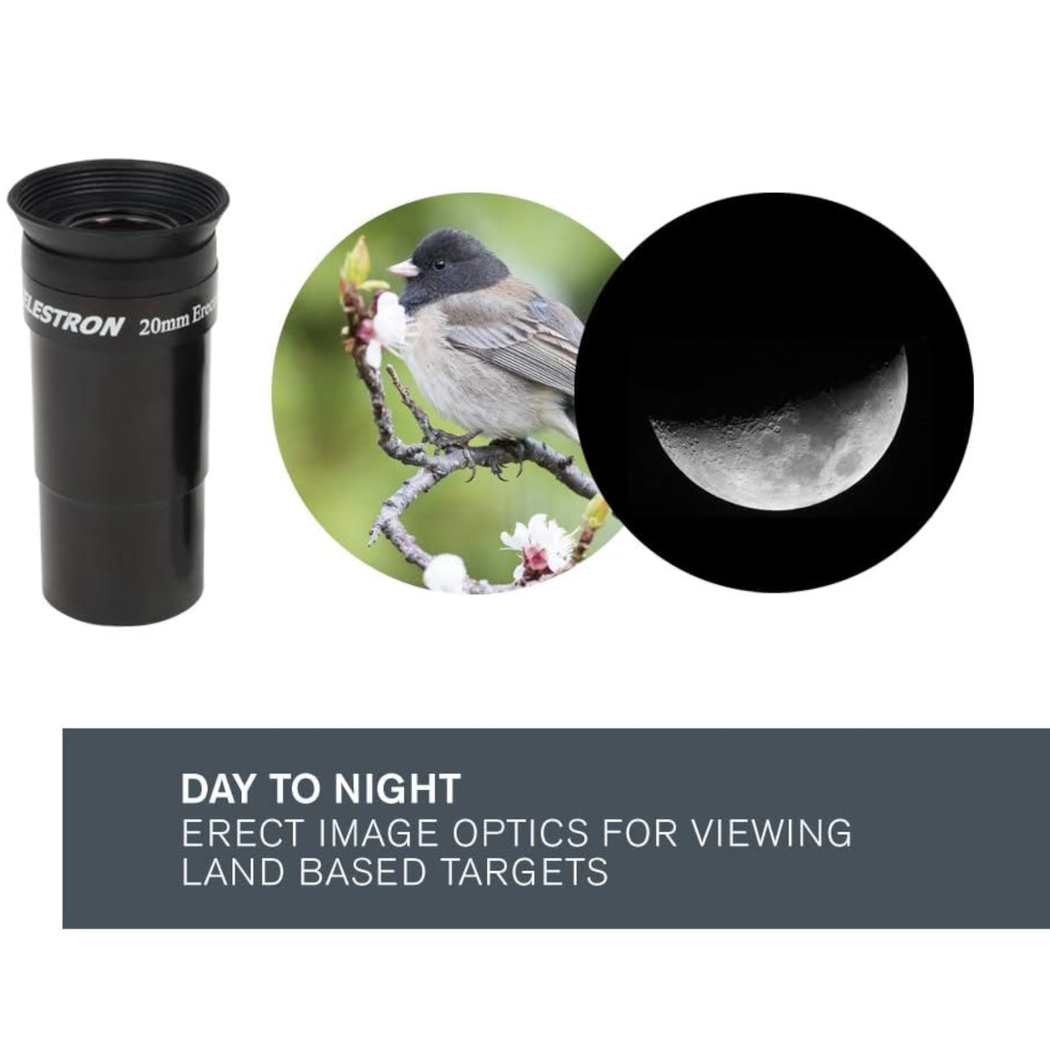 Celestron  Astromaster 130 EQ Telescope & Phone Adapter