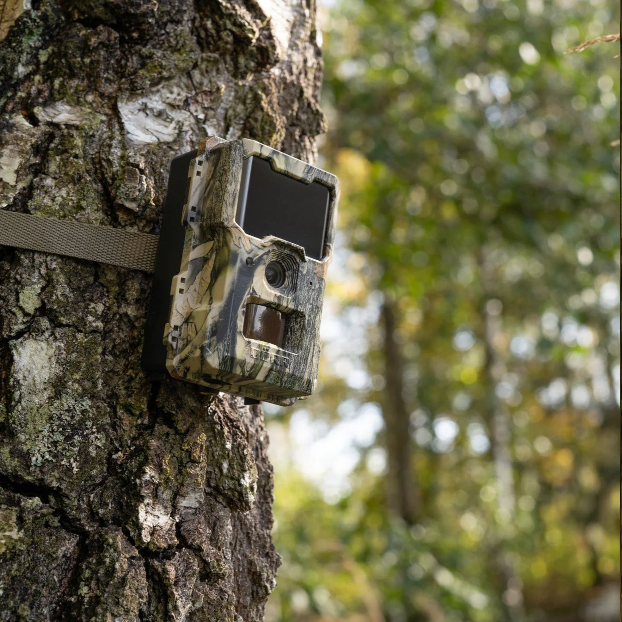 Dorr Snapshot Mini 5.0 Pro Full HD Nature Camera (Camouflage)