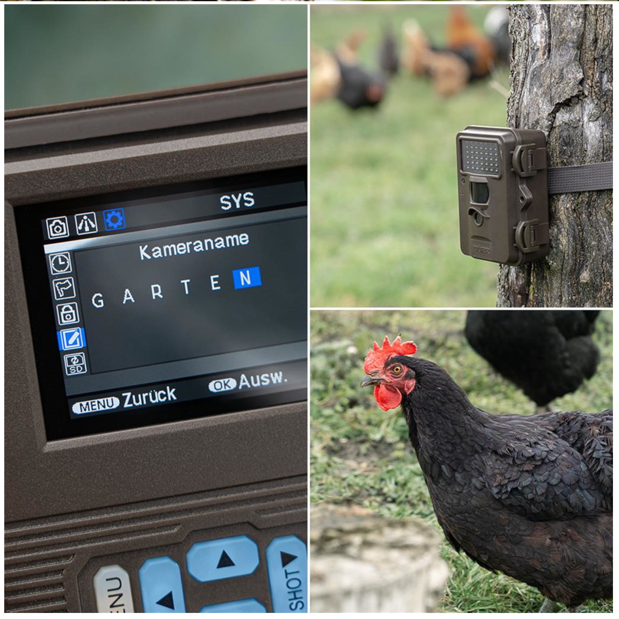 Dorr Snapshot Mini Black 30MP 4K Nature Camera (Black)