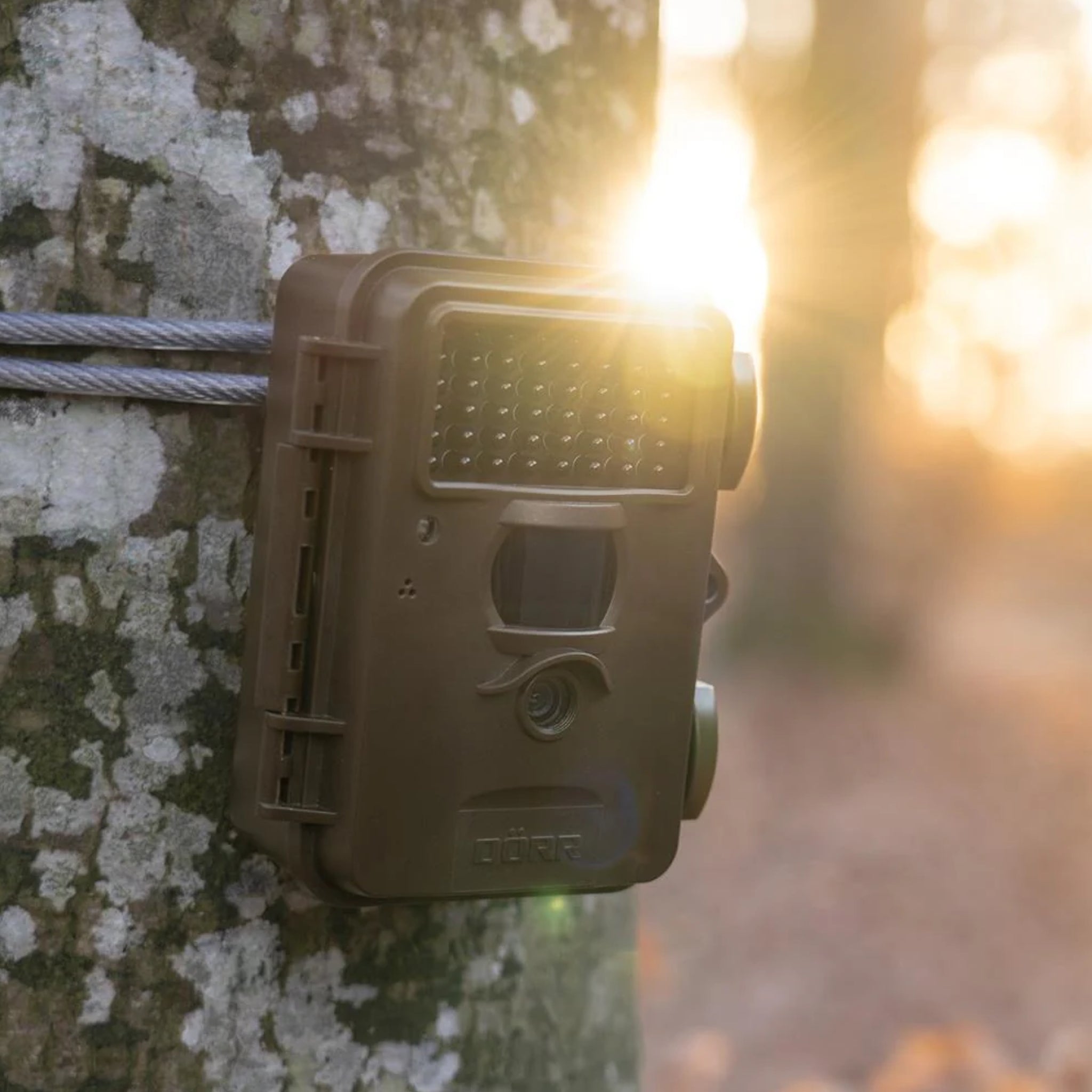 Dorr Snapshot Mini Black 30MP 4K Nature Camera (Black)
