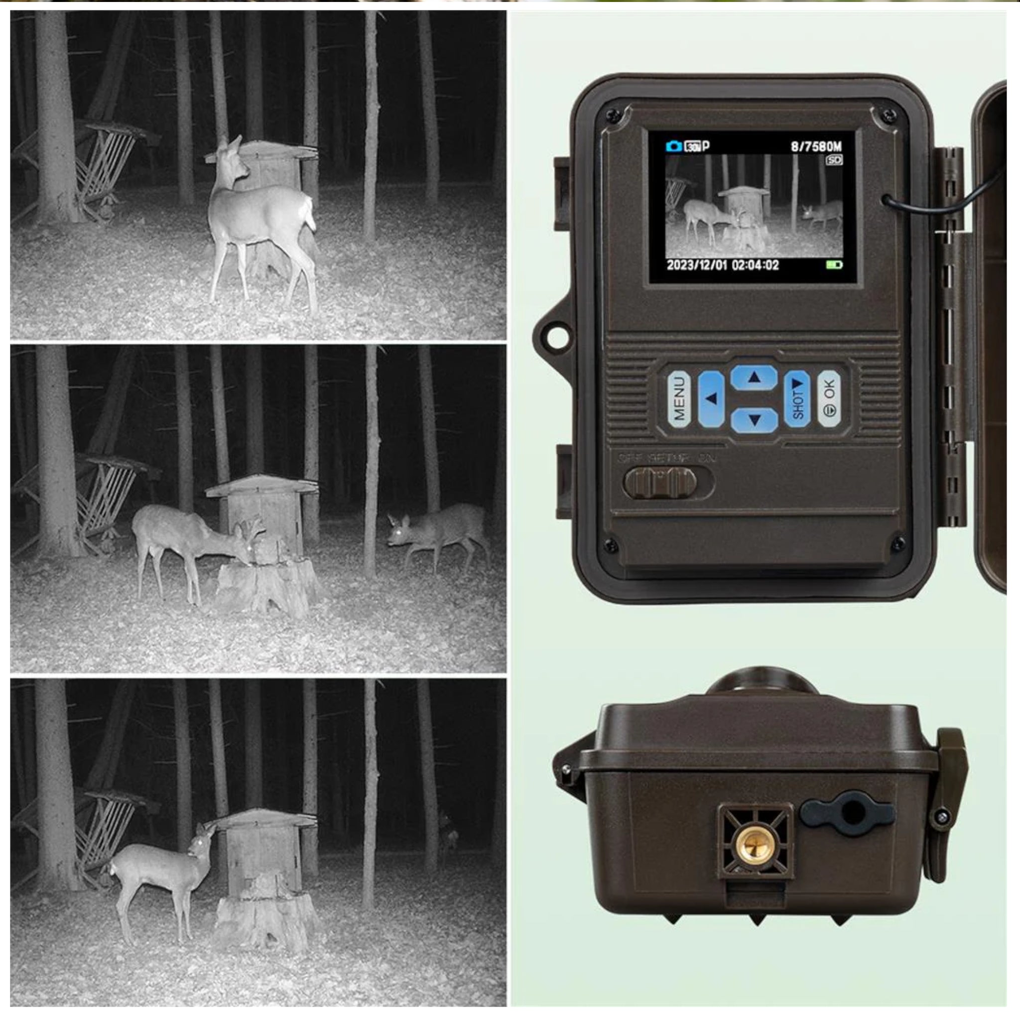 Dorr Snapshot Mini Black 30MP 4K Nature Camera (Black)