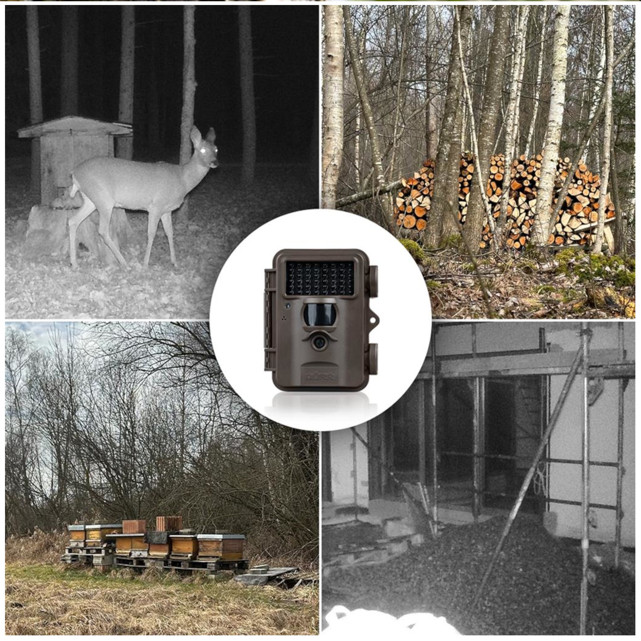 Dorr Snapshot Mini Black 30MP 4K Nature Camera (Black)